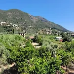 Petros נידרי
